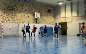 Journée 5 du Championnat Départemental Para Futsal adapté 