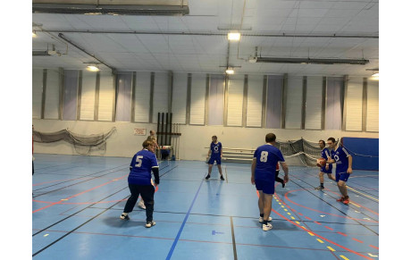 🏀 Championnat Départemental para Basket adapté niveau BCD 🏀